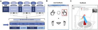Changes in EEG Brain Connectivity Caused by Short-Term BCI Neurofeedback-Rehabilitation Training: A Case Study